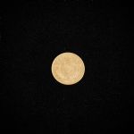 1396 7402 COINS